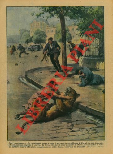 Emozionante corpo a corpo fra una domatrice ed una leonessa …