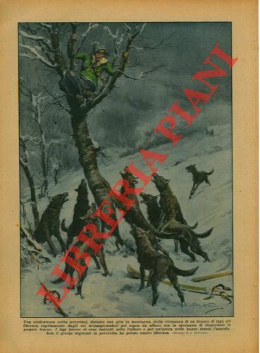 Studentessa, durante una gita in montagna, è stata costretta per …