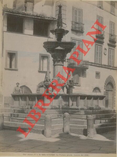 Viterbo. La Fontana grande.