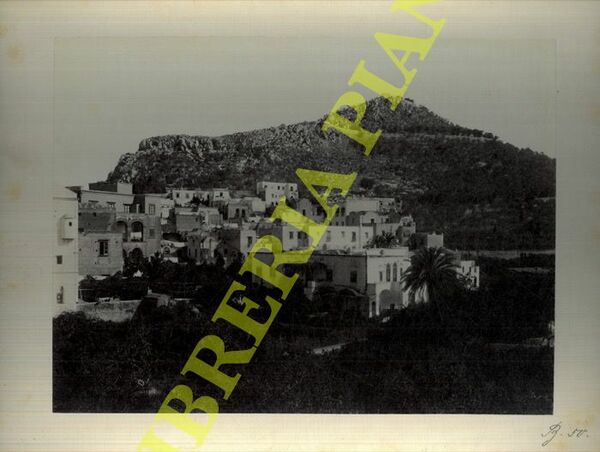 Capri. Hotel Pagano. Palma.