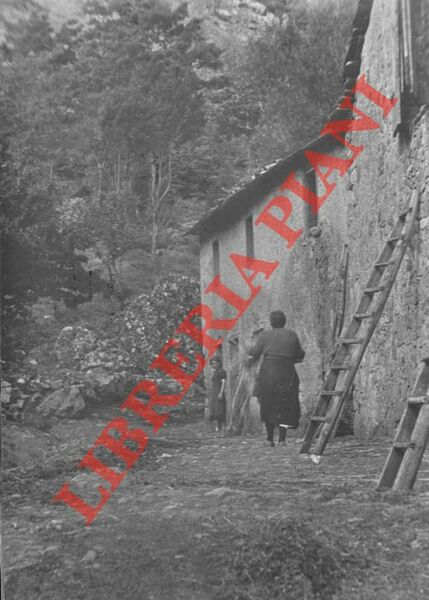 Paesaggi rurali di collina, italiani, animati.