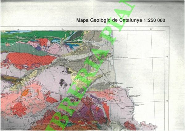 Mapa Geològic de Catalunya.