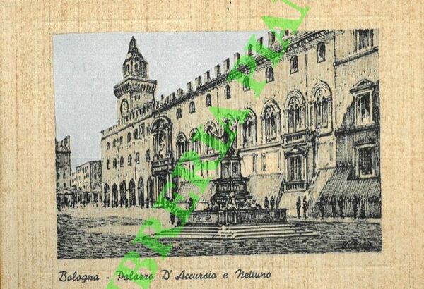Bologna. Palazzo d'Accursio e Nettuno.