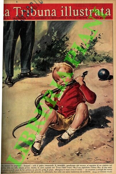 “Sta attento! Un serpente!.Scappa!” urlò il padre rimanendo lì immobile, …