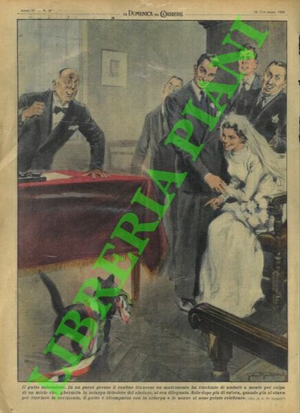 Matrimonio rischiava di andare a monte a causa di un …