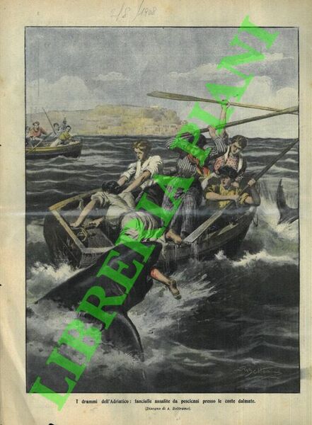Pescicani aggrediscono imbarcazione carica di fanciulle sulle coste dalmate.