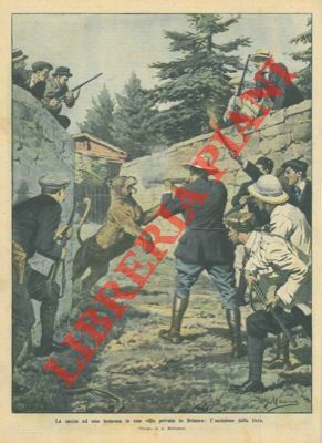 Uccisione di una leonessa in una villa privata in Brianza.