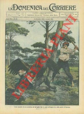 Lotta accanita tra un pescatore ed un'aquila che lo assalì …