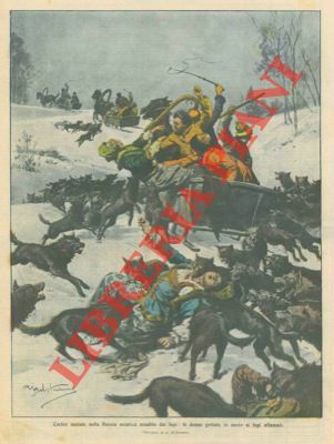 Corteo nuziale aggredito dai lupi (in Russia) le donne vengono …
