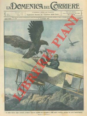 Aviatore assalito da un aquila a 2.000 metri di altezza, …