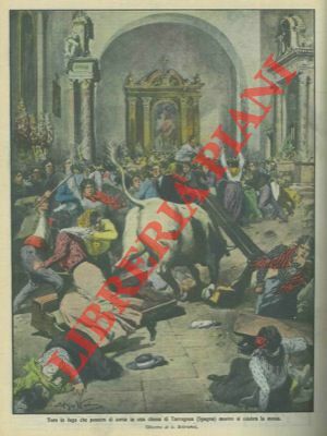 Toro in fuga, a Tarragona in Spagna, penetra in una …