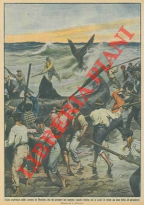 Enorme squalo arenatosi nello stretto di Messina è ucciso a …