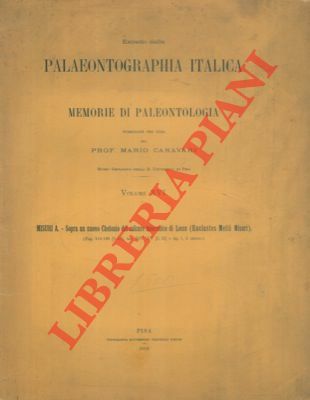 Sopra un nuovo Chelonio del calcare miocenico di Lecce. (Euclastes …