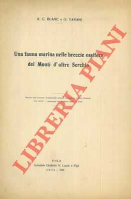 Una fauna marina nelle breccie ossifere dei Monti d'oltre Serchio.