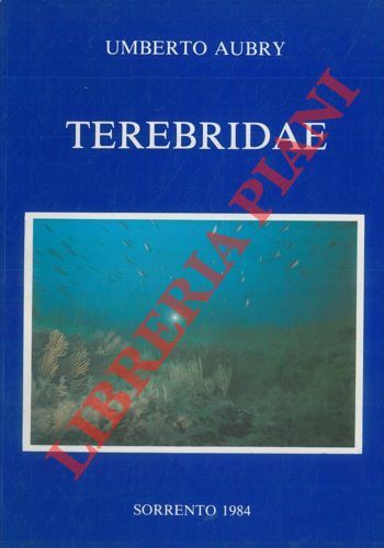 Terebridae. (Mollusca: Gastropoda).