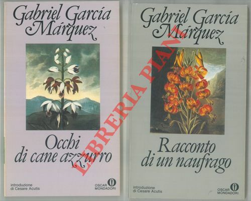 Occhi di cane azzurro. Racconto di un naufrago