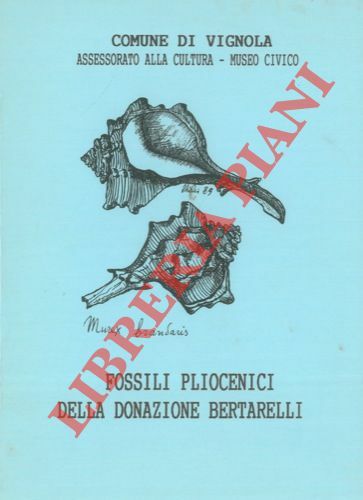 Fossili pliocenici della donazione Bertarelli.