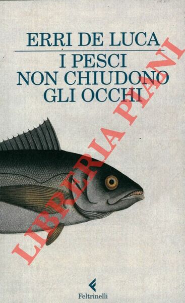 I pesci non chiudono gli occhi.