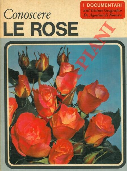 Le rose.