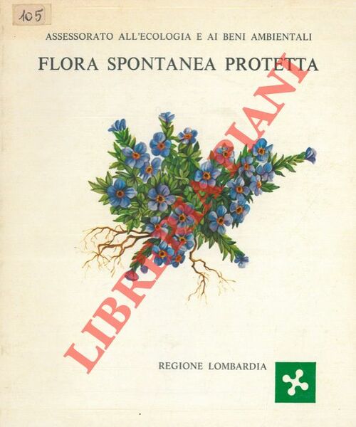 Flora spontanea protetta.