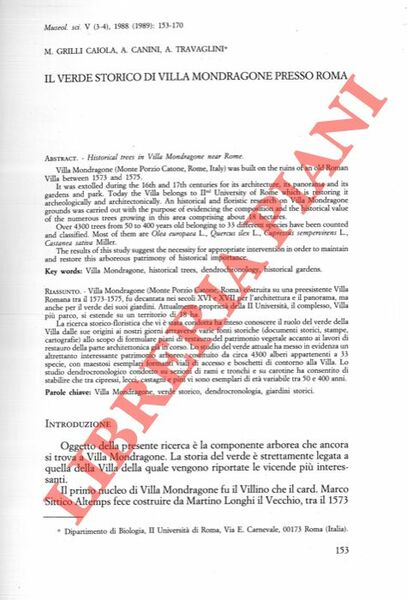 Il verde storico di Villa Mondragone presso Roma.