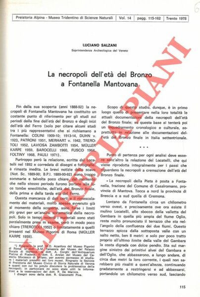 La necropoli dell'età del Bronzo a Fontanella Mantovana.