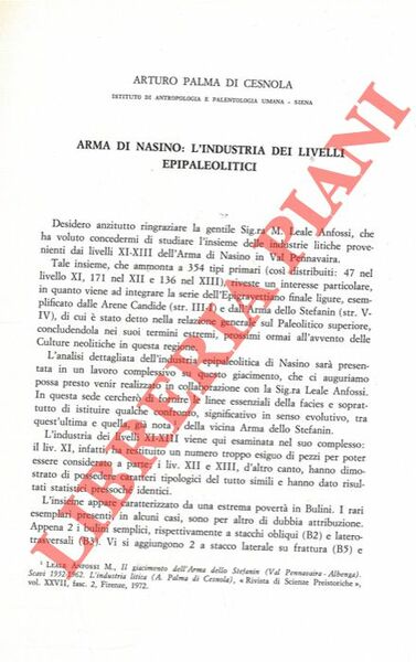 Arma di Nasino: l'industria dei livelli epipaleolitici.