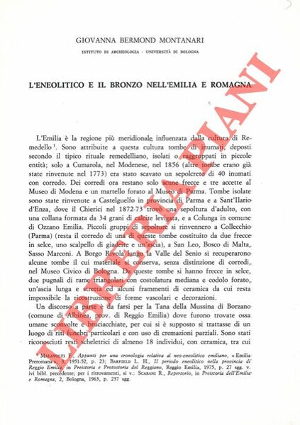 L'Eneolitico e il Bronzo nell'Emilia e Romagna.