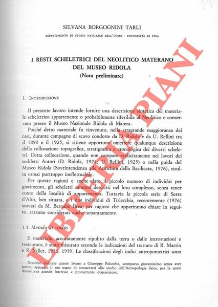 I resti scheletrici del Neolitico materano del Museo Ridola.