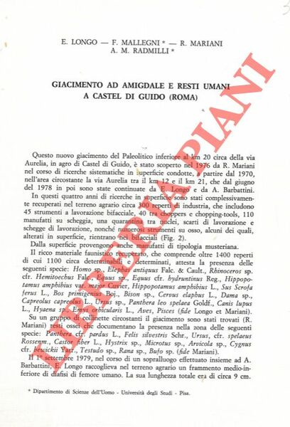 Giacimento ad amigdale e resti umani a Castel di Guido …
