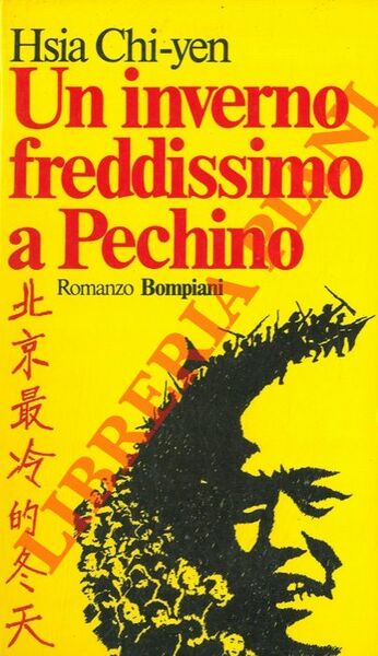 Un inverno freddissimo a Pechino.