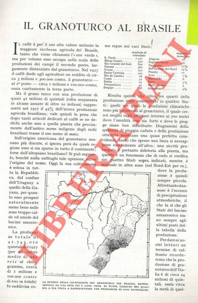 Il granoturco al Brasile.