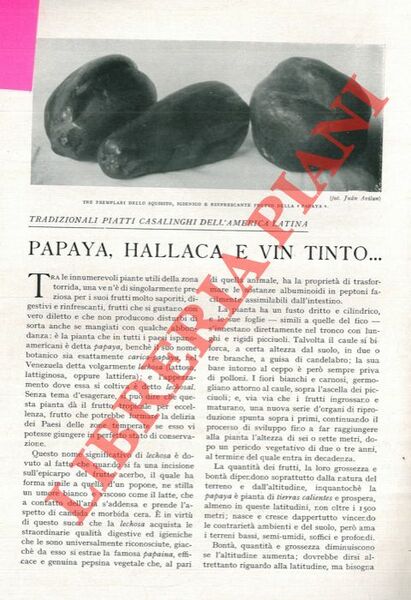 Tradizionali piatti casalinghi dell'America Latina. Papaya, hallaca e vin tinto.