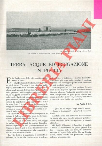 Terra, acque ed irrigazione in Puglia.