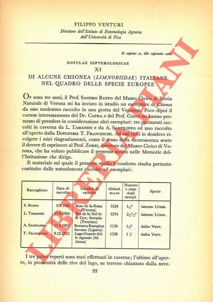 Di alcune Chionea (Limnobiidae) italiane nel quadro delle specie europee.