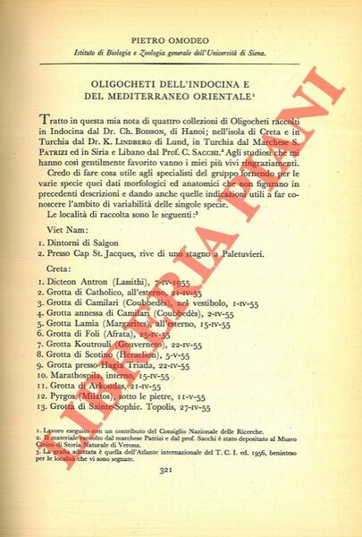Oligocheti dell'Indocina e del Mediterraneo orientale.
