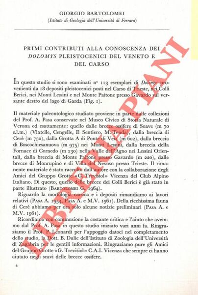Primi contributi alla conoscenza dei Dolomys pleistocenici del Veneto e …