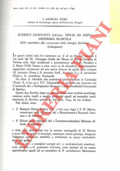 Byrrhus geminatus LeConte: specie ad ampia geonemia olartica (Coleoptera) .