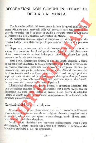 Decorazioni non comuni in ceramiche della Ca' Morta.