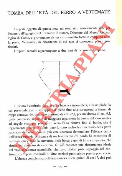 Tomba dell'Età del Ferro a Vertemate.