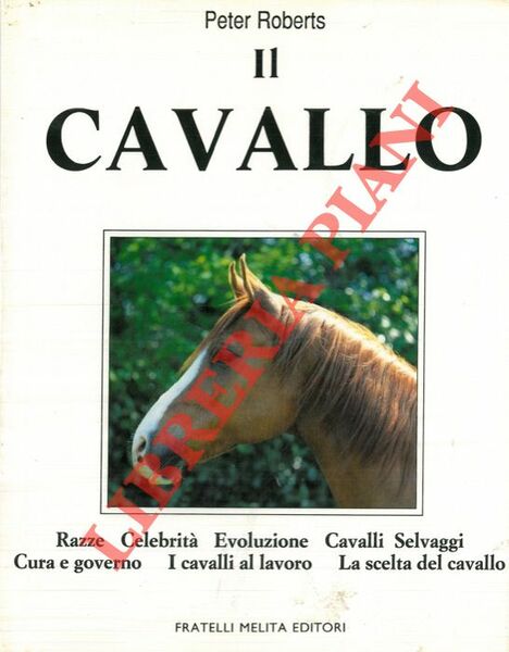 Il Cavallo.