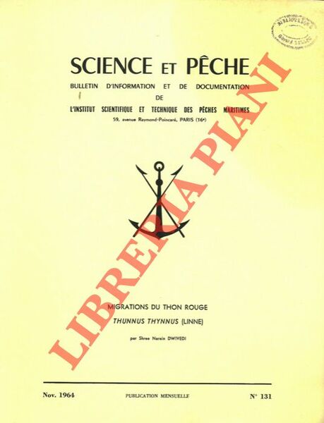 Migration du Thon rouge (Thunnus thunnus (Linnè).