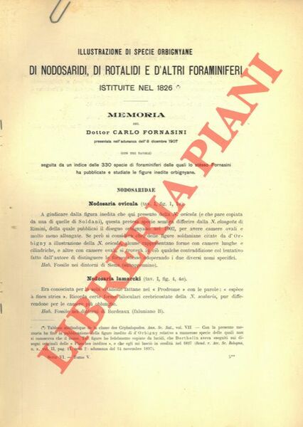 Illustrazione di specie orbignyane di Nodosaridi, di Rotalidi e d'altri …