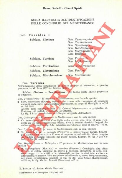 Guida illustrata all'identificazione delle conchiglie del Mediterraneo.