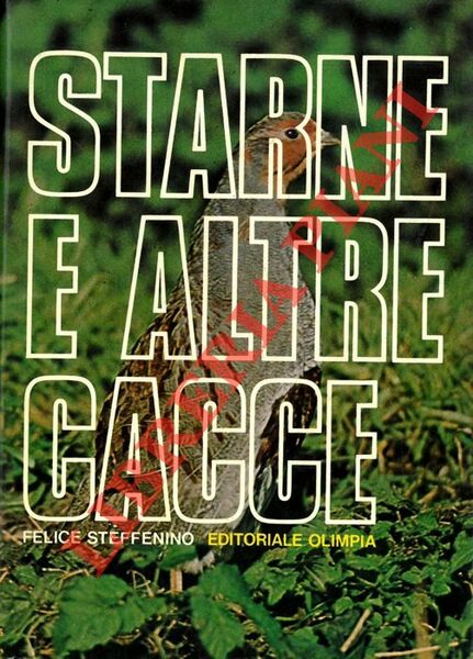 Starne e altre cacce.
