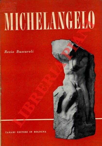 Michelangelo. La vita. La teorica sull'arte - Le opere -