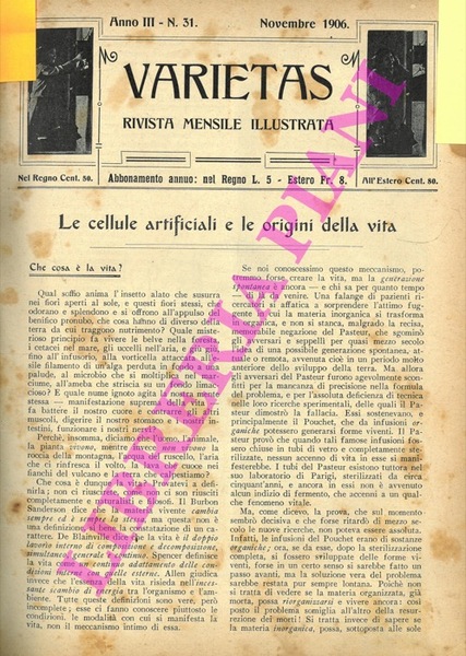 Le cellule artificiali e le origini della vita.