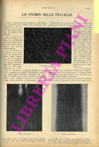 La patria delle pellicce.