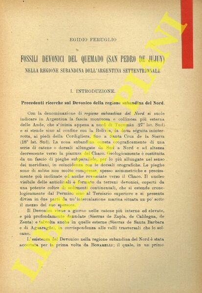 Fossili devonici del Quemado (San Pedro de Jujuy) nella regione …
