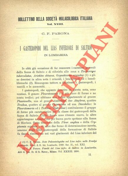 I Gasteropodi del Lias inferiore di Saltrio in Lombardia.